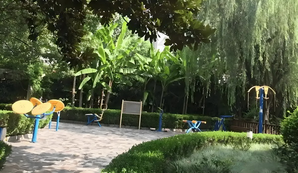 心机乱