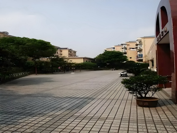 沙泪